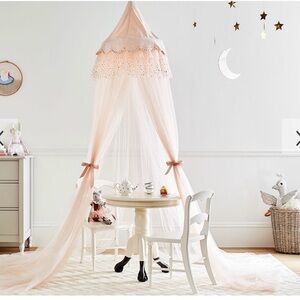 Potter barn kids Emily & Merritt sparkle Tule canopy/bed skit SEE DESCRIPTION